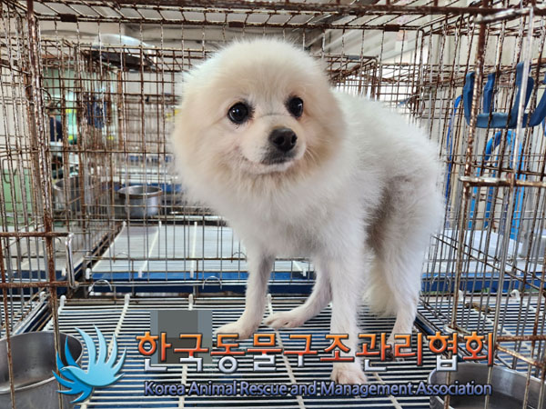 한국동물구조관리협회_441406202301854