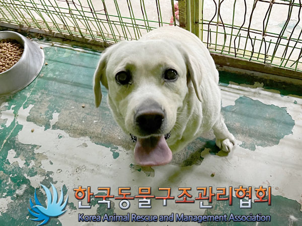 한국동물구조관리협회_441560202301530