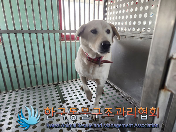 한국동물구조관리협회_441559202301222