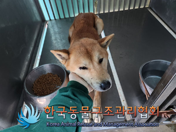 한국동물구조관리협회_441414202300923