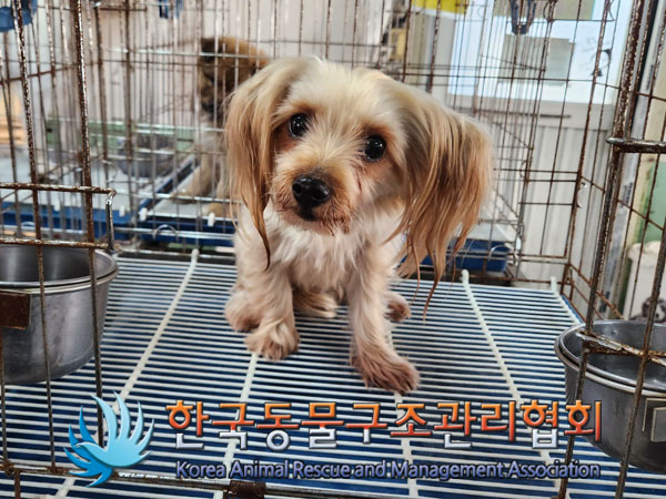 한국동물구조관리협회_441414202300922