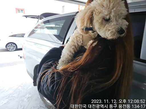 대전동물보호센터_430364202300346