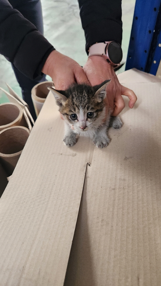 익산유기동물보호소_445468202302205