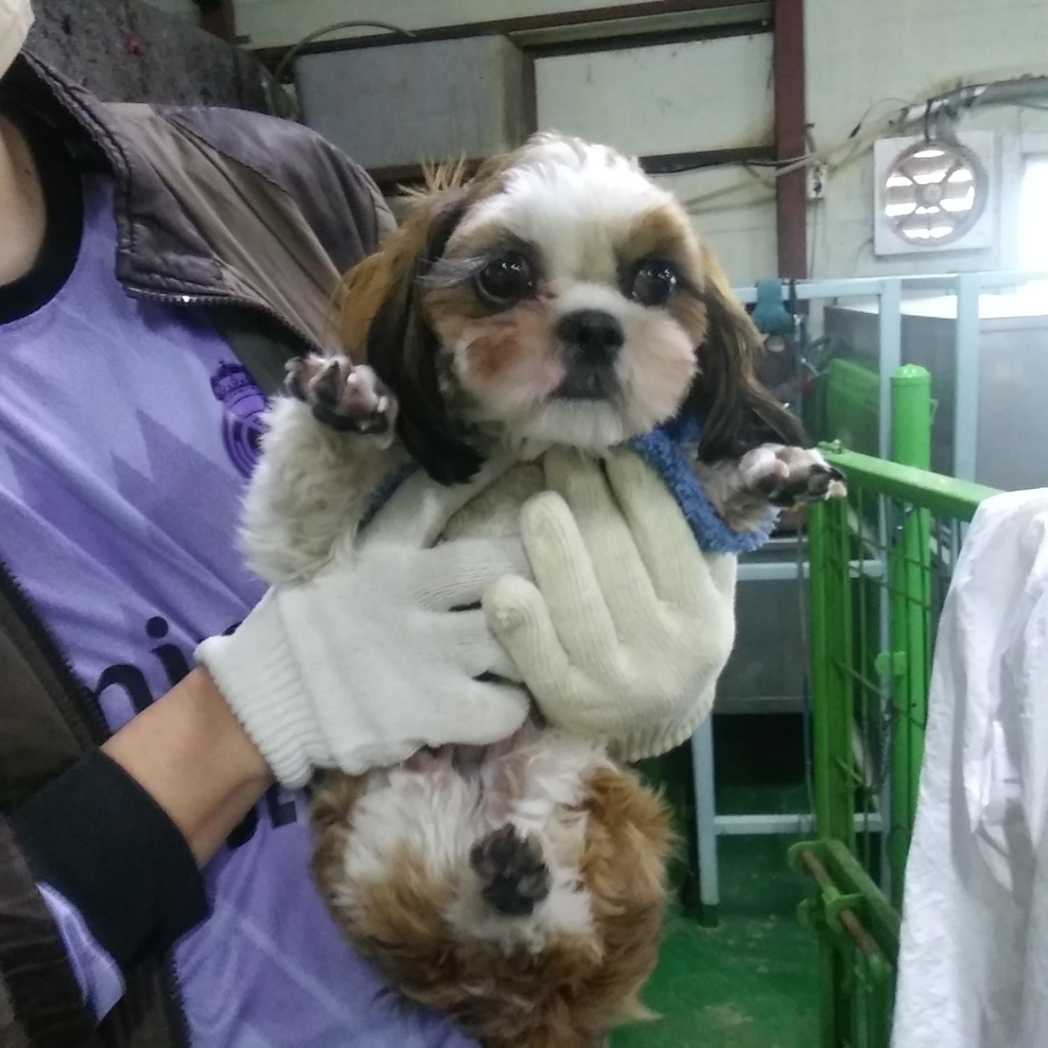 인천광역시수의사회_428353202301277