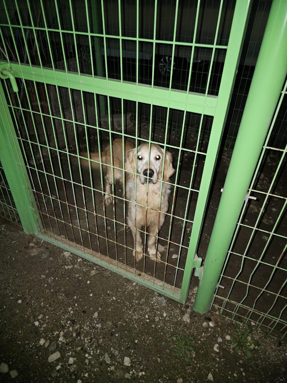 아산동물복지지원센터_444452202302033
