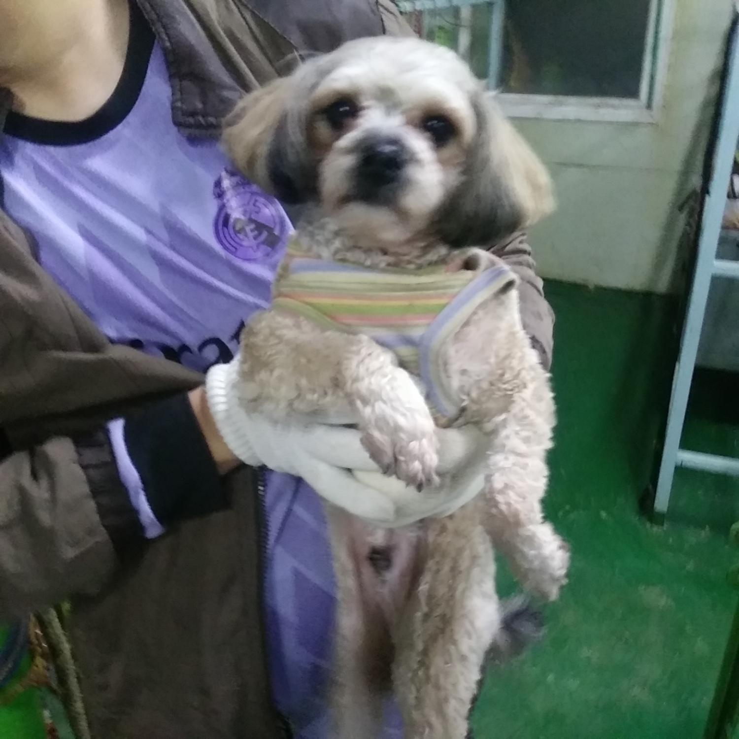 인천광역시수의사회_428353202301279