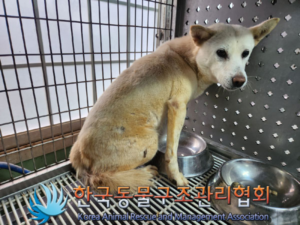 한국동물구조관리협회_441406202301890
