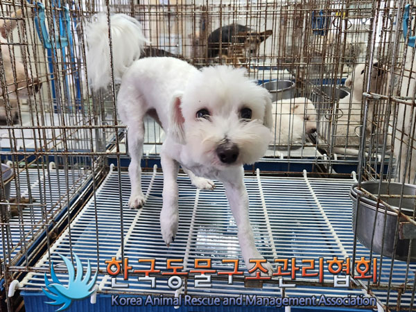 한국동물구조관리협회_411312202300731