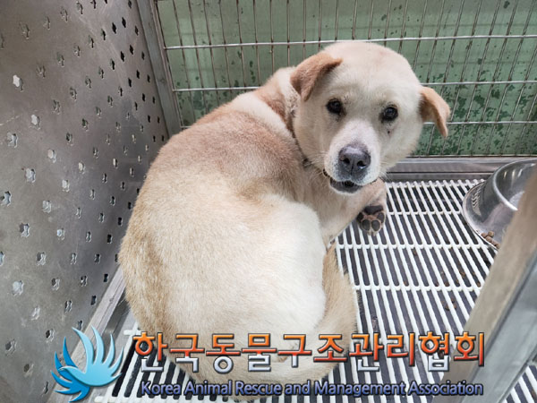 한국동물구조관리협회_441560202301533