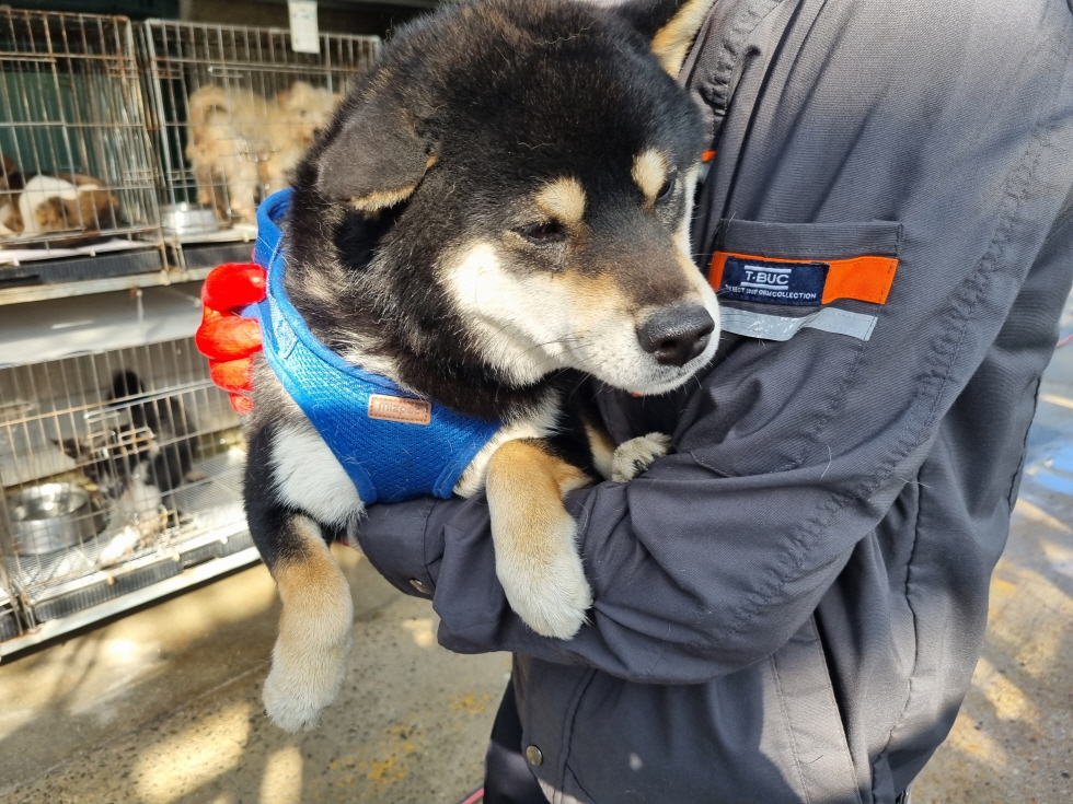 양산시 동물보호센터_448538202300721