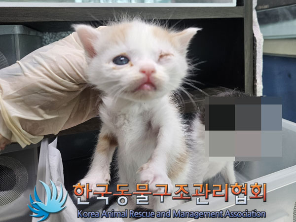 한국동물구조관리협회_441560202301537