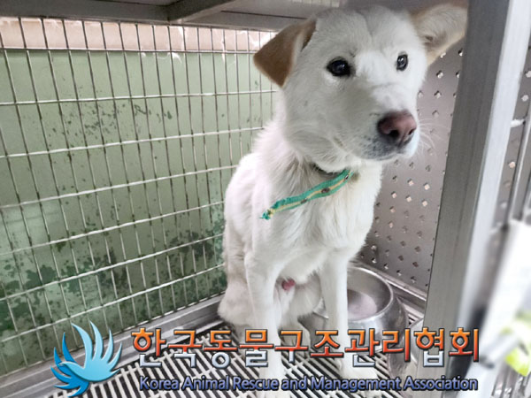 한국동물구조관리협회_441560202301536