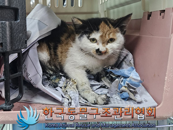 한국동물구조관리협회_411300202300485