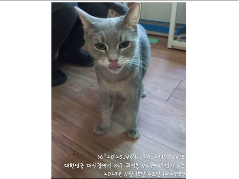 대전동물보호센터_430366202300653