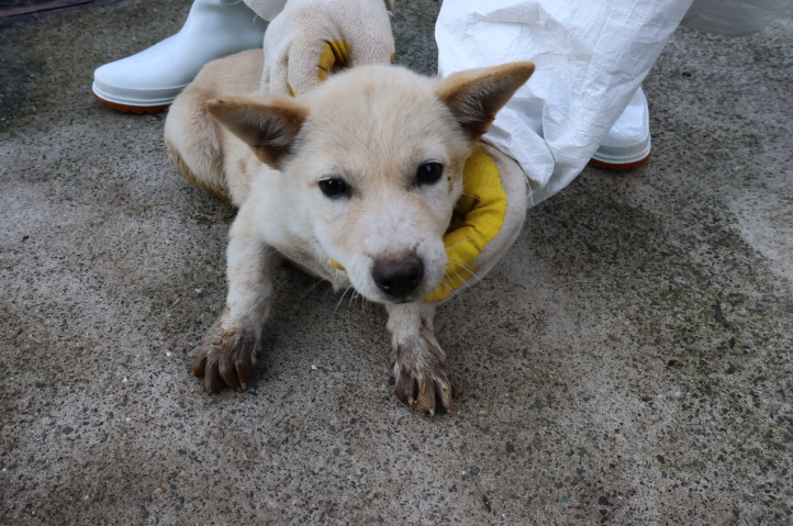 제주 동물보호센터_450650202303985