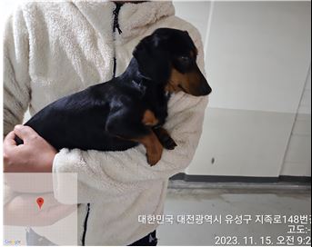 대전동물보호센터_430367202300704