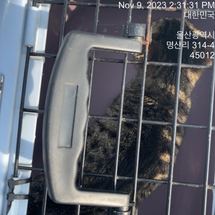 울산유기동물보호센터_431373202301301