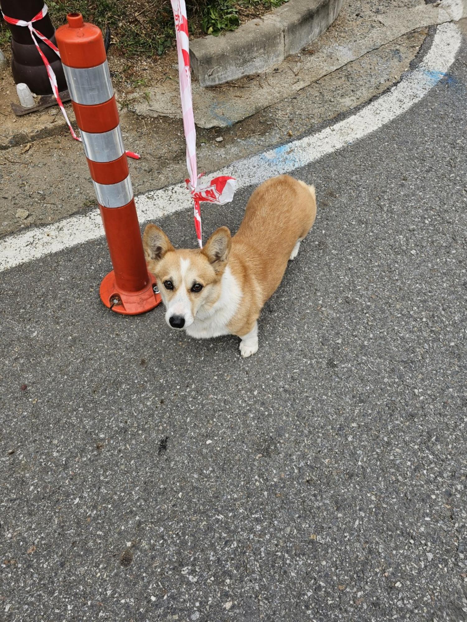 아산동물복지지원센터_444452202302051