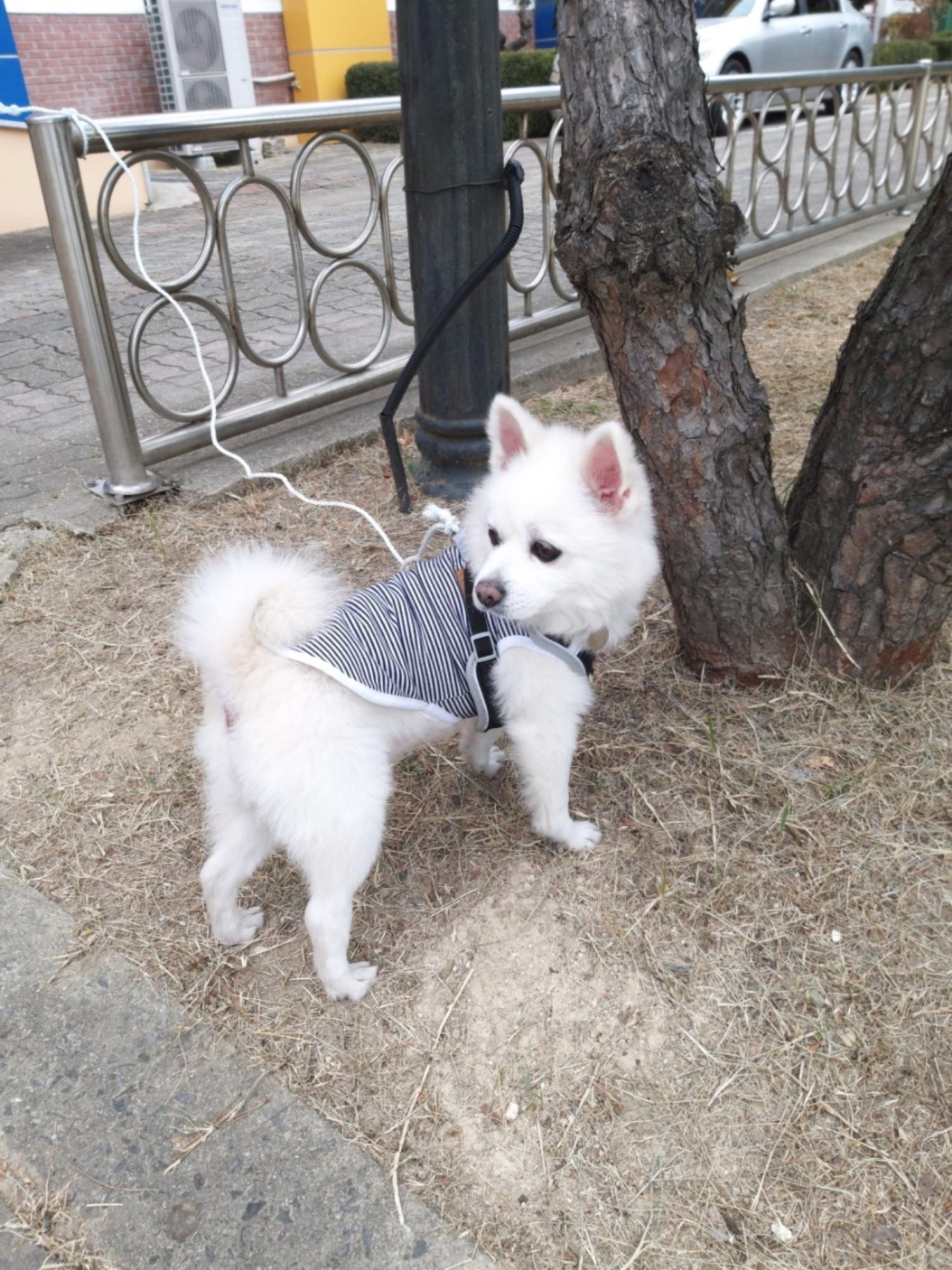 (사)영일동물플러스_447502202301469