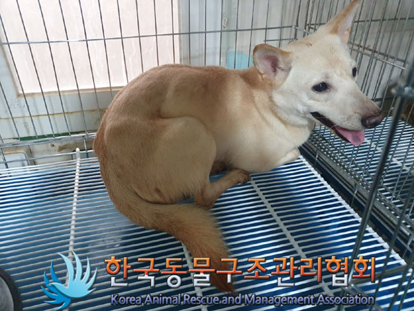 한국동물구조관리협회_441560202301581