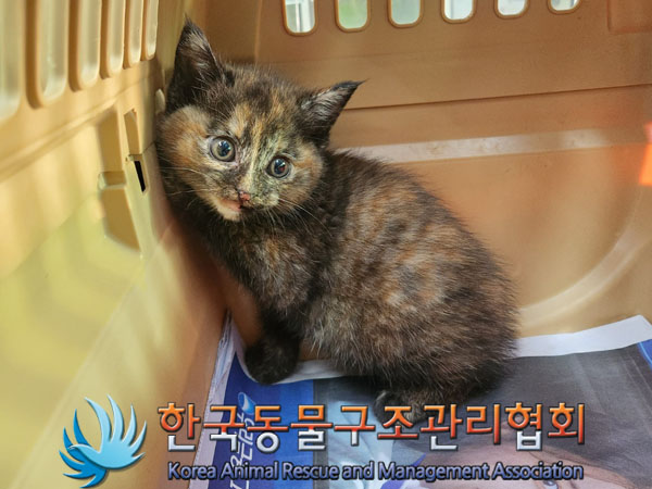 종료(자연사) 한국…