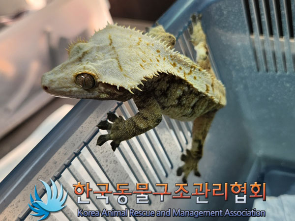 한국동물구조관리협회_411322202300858