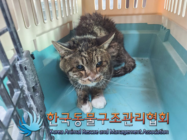 한국동물구조관리협회_411307202300523
