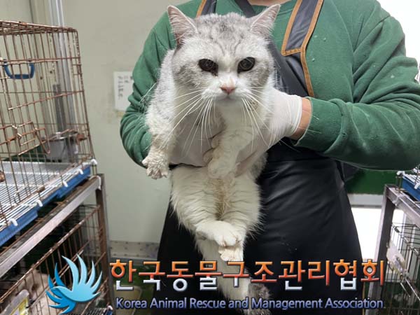 종료(자연사) 먼치…