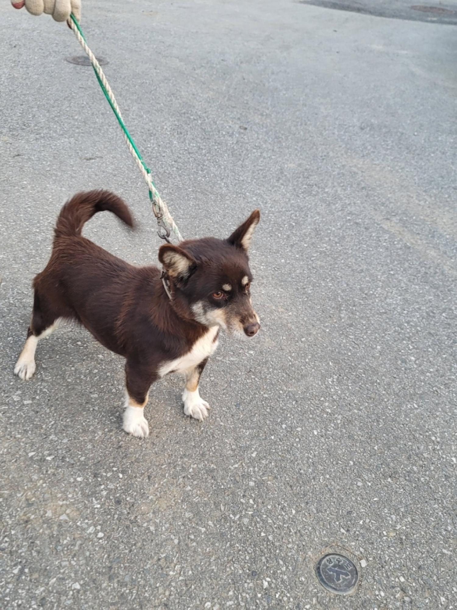 괴산증평동물보호센터_443446202300457
