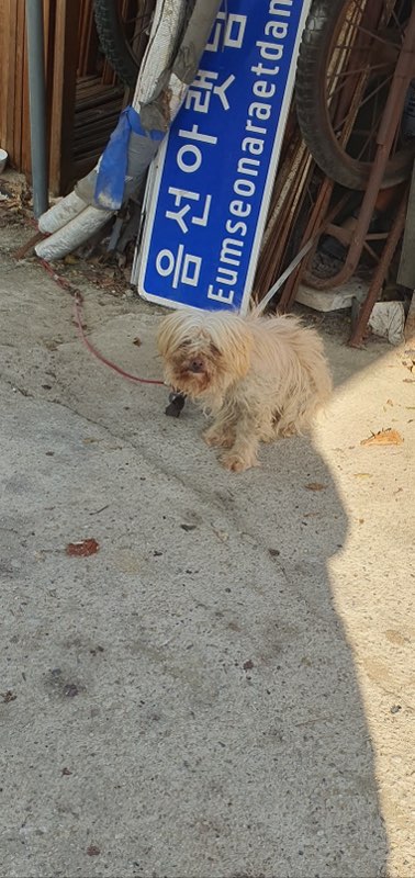 장수군 보호소_445475202300116