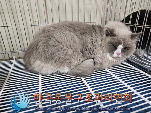 한국동물구조관리협회_411316202300875
