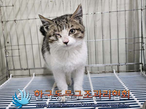한국동물구조관리협회_441560202301615