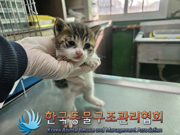 종료(자연사) 한국…