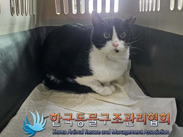 한국동물구조관리협회_411300202300491