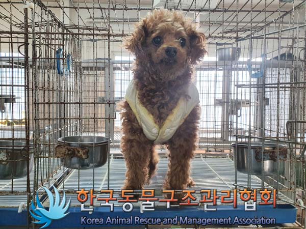 한국동물구조관리협회_441560202301614