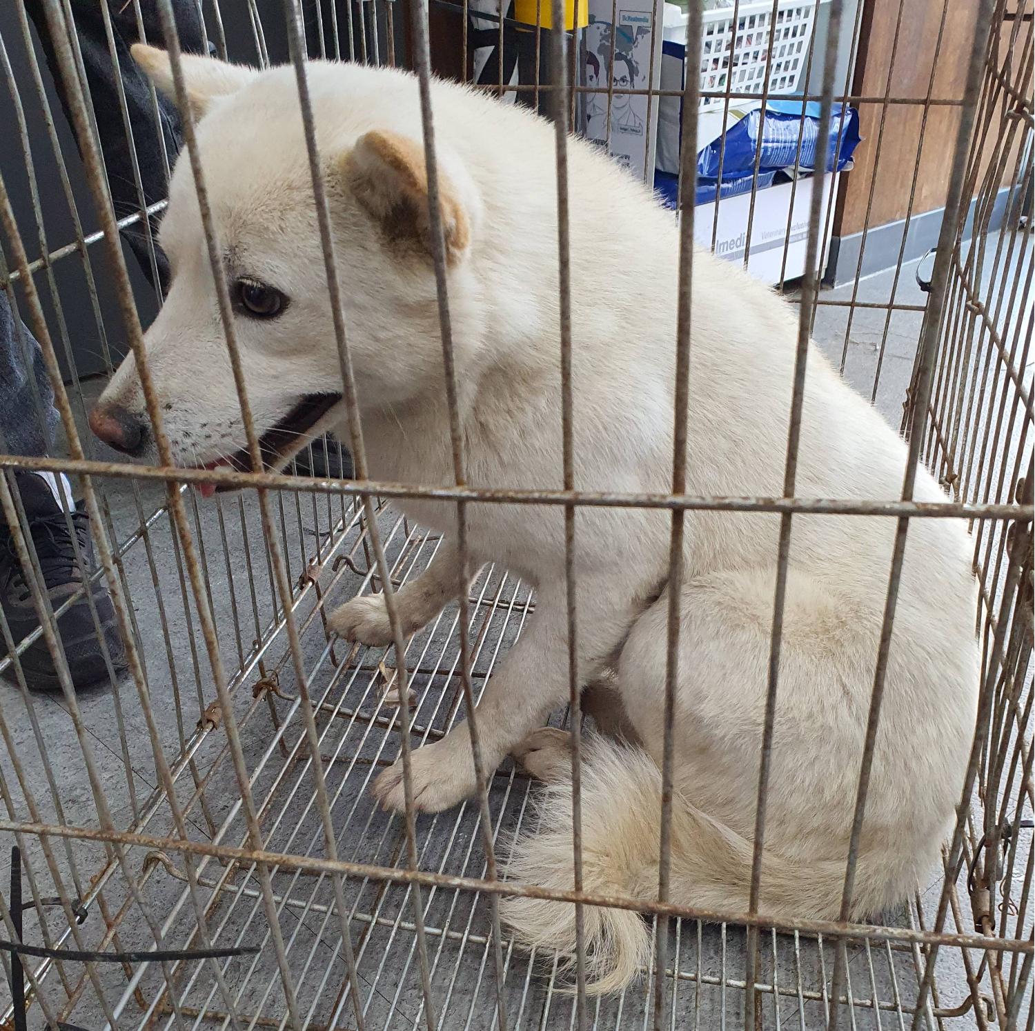 베스트동물병원_428357202301526