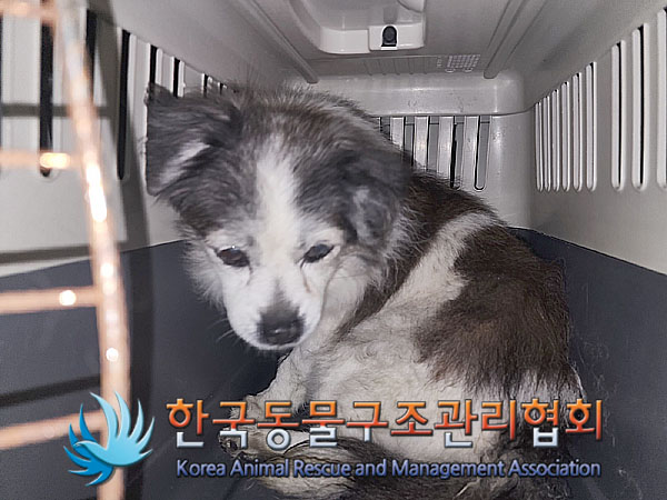 한국동물구조관리협회_411310202300558
