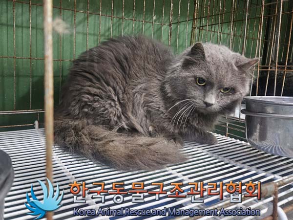 한국동물구조관리협회_441414202300934