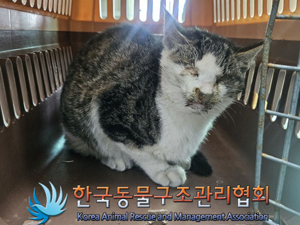 한국동물구조관리협회_411312202300732