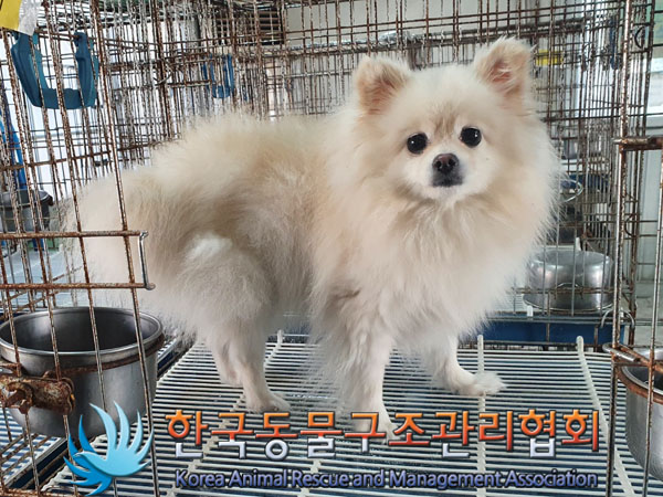 한국동물구조관리협회_411305202300632