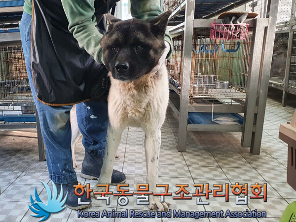 한국동물구조관리협회_441560202301621
