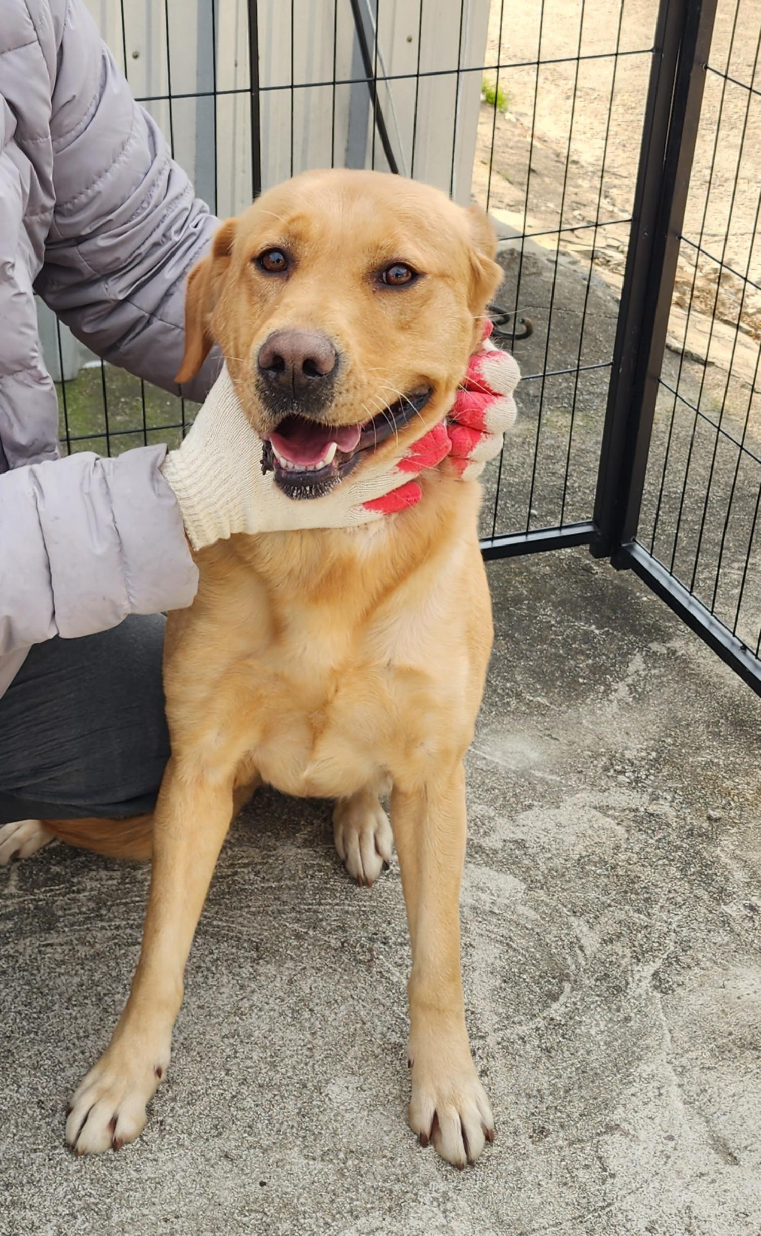 상주시 동물보호센터_447511202301115