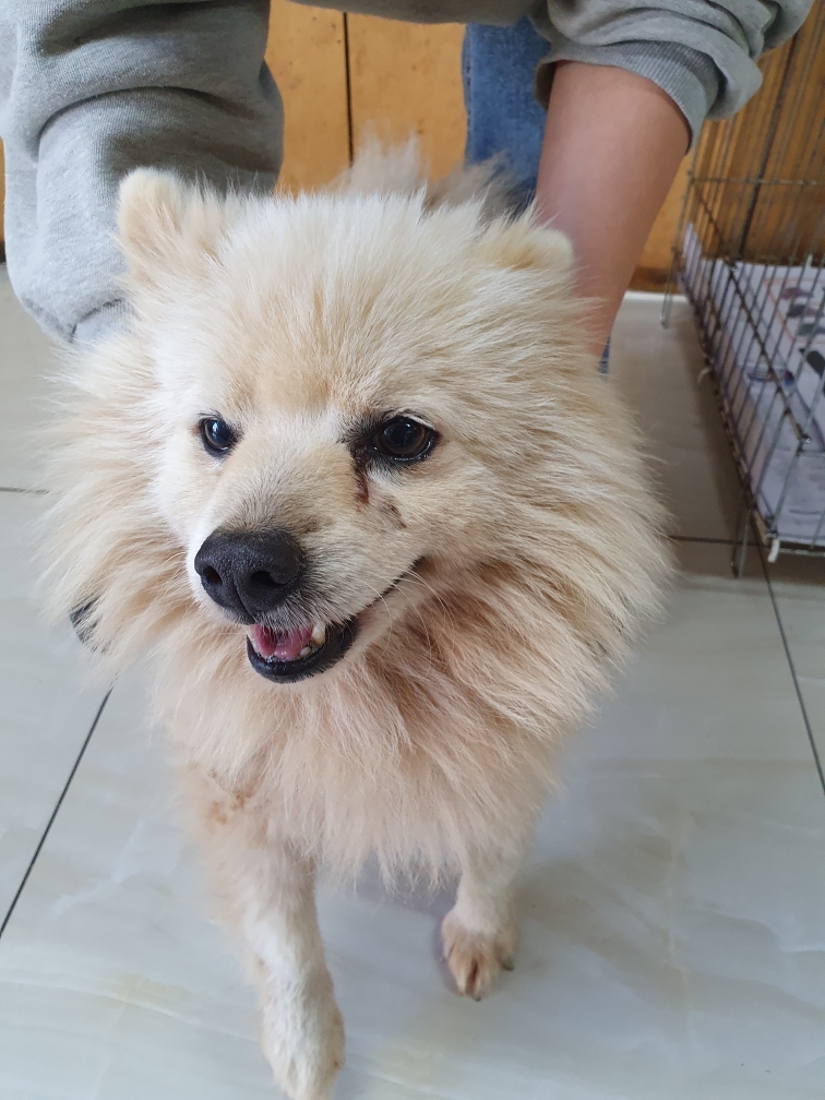 최종주동물병원_443444202300615