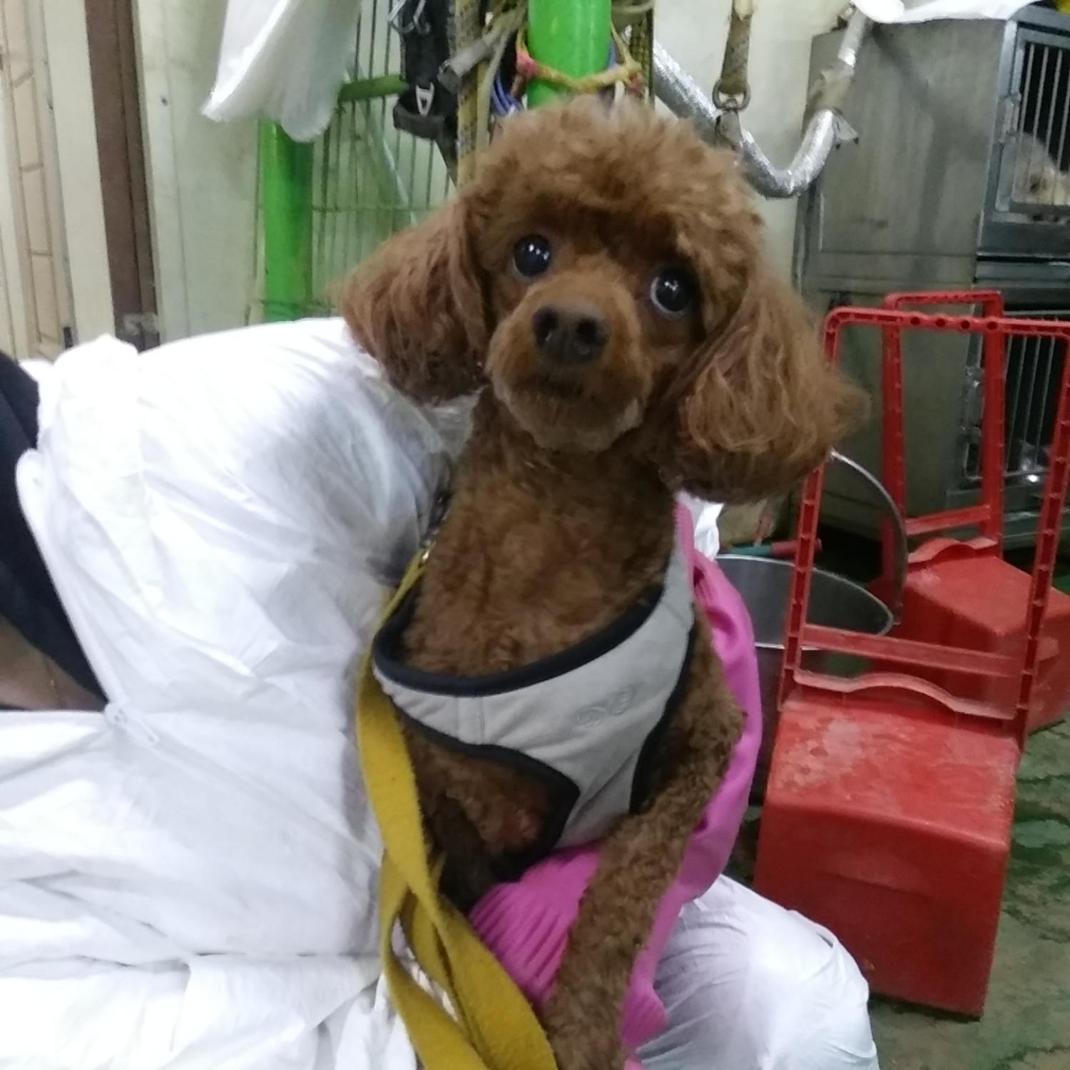 인천광역시수의사회_428352202300533