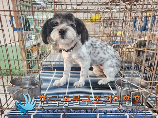 한국동물구조관리협회_411300202300495
