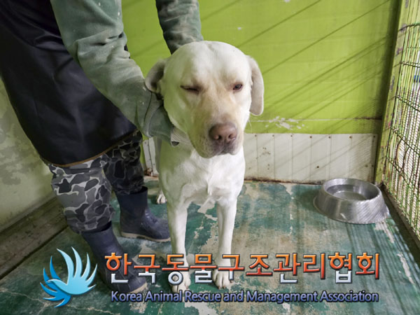 한국동물구조관리협회_441409202301939