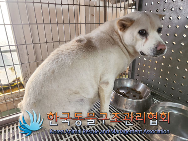 한국동물구조관리협회_441406202301942