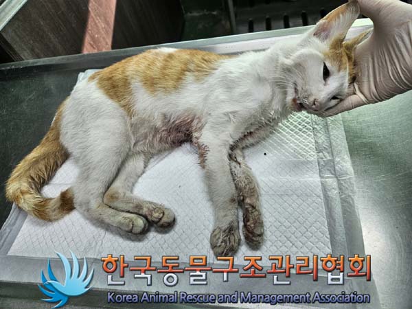 종료(자연사) 한국…