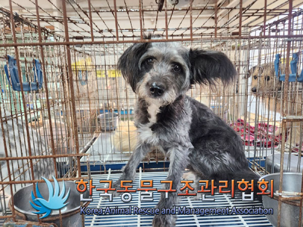 한국동물구조관리협회_411316202300879