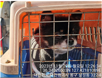 대전동물보호센터_430366202300706